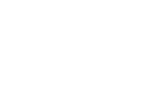 Logo bianco di SEPAM Automation Technologies